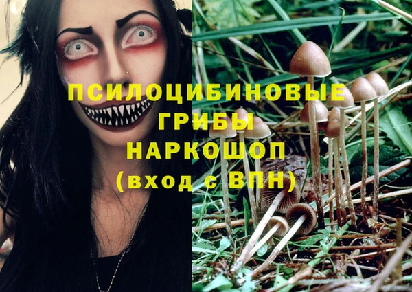 гидропоника Алзамай