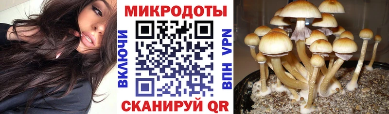 Купить закладки  Тольятти  Псилоцибиновые грибы мухоморы 
